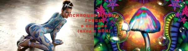 ALPHA-PVP Волоколамск