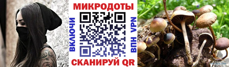 Псилоцибиновые грибы мухоморы  закладки  Назарово 